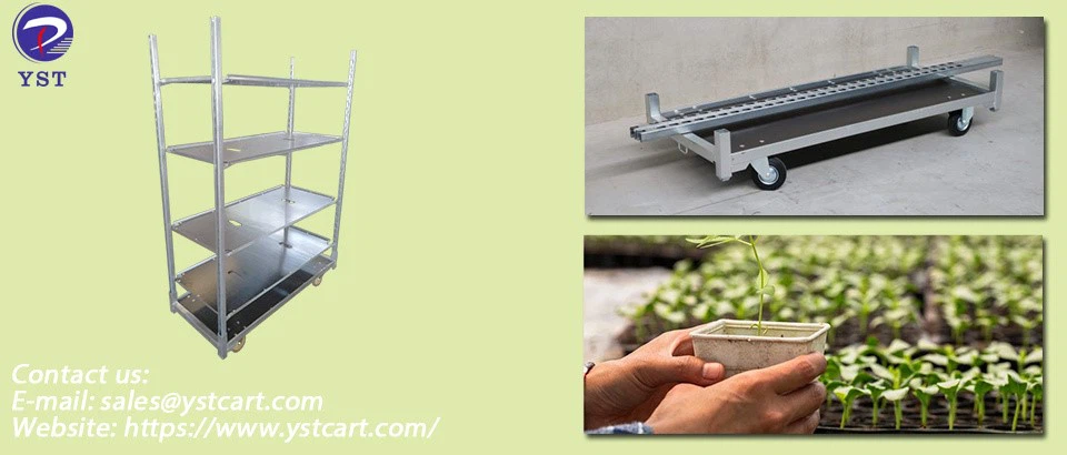 Dutch Trolley-1 Dutch Trolley-1