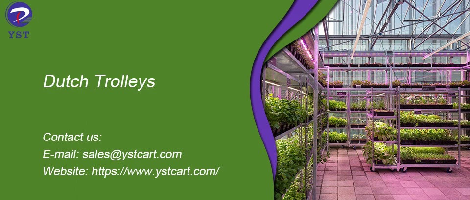 Dutch Trolleys Dutch Trolleys