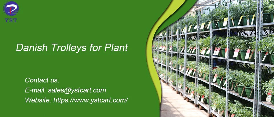 Danish Trolleys for Plant-14 Danish Trolleys for Plant-14