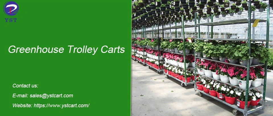 Greenhouse Trolley Carts-6 Greenhouse Trolley Carts-6