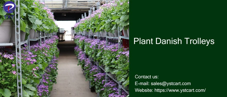 Plant Danish Trolleys-13 Plant Danish Trolleys-13