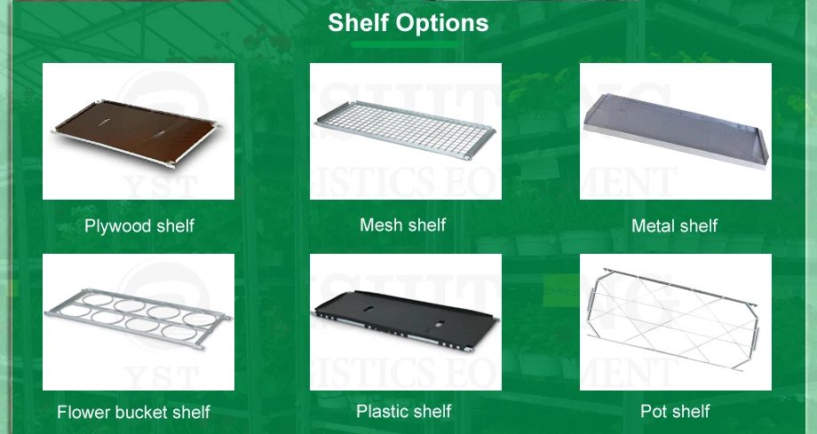 shelf options