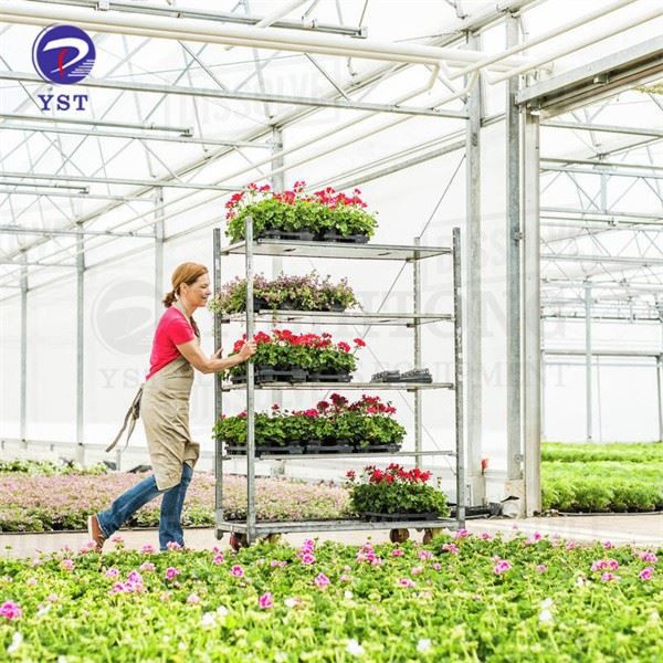 Danish Trolley 6 Tier